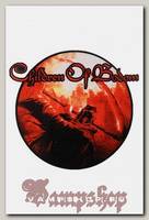 Наклейка-стикер Rock Merch Children Of Bodom