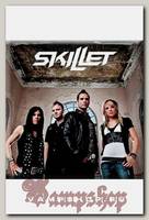 Магнит RockMerch Skillet