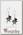Серьги Alchemy Gothic E402 Ruah Vered Earings