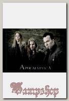 Флаг Apocalyptica