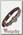 Браслет Alchemy Gothic A118 Portative Spectrostat