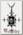 Кулон Alchemy Gothic P543 Proto-X-Ray Cross