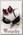 Бархотка Alchemy Gothic P538 The Tell Tale Heart
