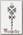 Кулон Eastgate GW12 Wood Witchs Wand