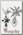 Кулон Alchemy Gothic P570 Caltrop Cross