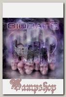 CD Диск Biorate Svet