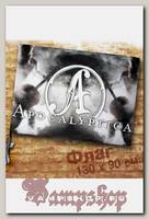 Флаг Apocalyptica