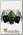 Респиратор Green Fang