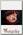Флаг Motley Crue Generation Swine