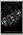 Заколка Alchemy Gothic POL38 Розы с черепами