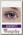 Линзы цветные Adria Color tone 2 Amethyst сиреневые